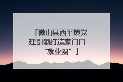 微山县西平镇党建引领打造家门口“就业圈”