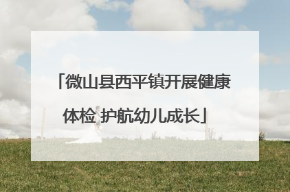 微山县西平镇开展健康体检 护航幼儿成长
