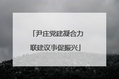 尹庄党建凝合力 联建议事促振兴
