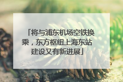 将与浦东机场空铁换乘，东方枢纽上海东站建设又有新进展