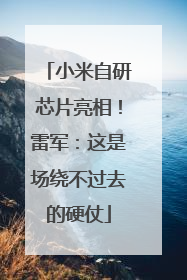小米自研芯片亮相！雷军：这是场绕不过去的硬仗