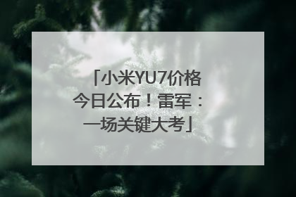 小米YU7价格今日公布！雷军：一场关键大考