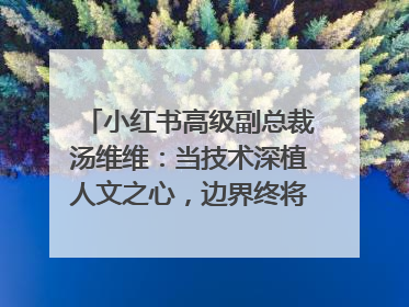 小红书高级副总裁汤维维：当技术深植人文之心，边界终将化为桥梁｜聚焦2025文化强国建设高峰论坛