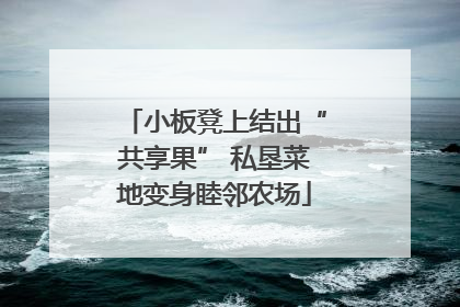 小板凳上结出“共享果” 私垦菜地变身睦邻农场