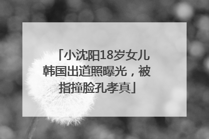 小沈阳18岁女儿韩国出道照曝光，被指撞脸孔孝真