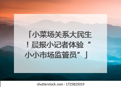 小菜场关系大民生！晨报小记者体验“小小市场监管员”
