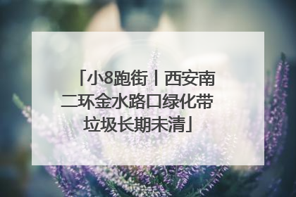 小8跑街丨西安南二环金水路口绿化带垃圾长期未清
