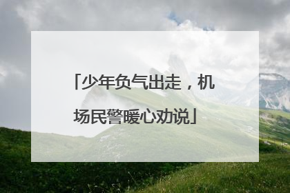 少年负气出走，机场民警暖心劝说
