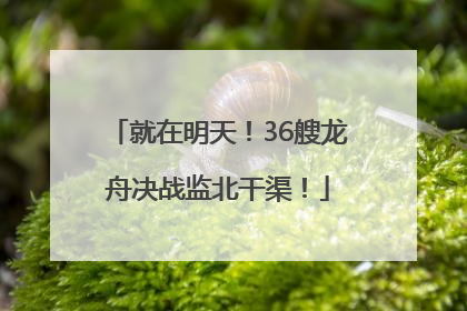 就在明天！36艘龙舟决战监北干渠！