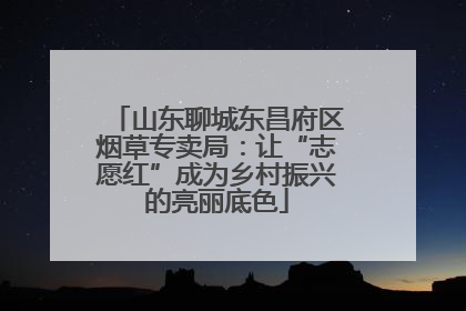 山东聊城东昌府区烟草专卖局：让“志愿红”成为乡村振兴的亮丽底色