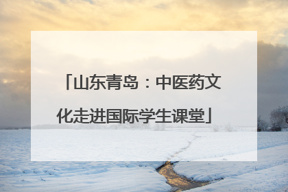 山东青岛：中医药文化走进国际学生课堂