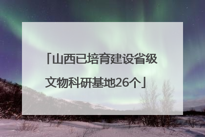 山西已培育建设省级文物科研基地26个