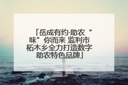 岳成有约·助农“味”你而来 监利市柘木乡全力打造数字助农特色品牌
