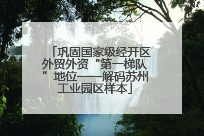 巩固国家级经开区外贸外资“第一梯队”地位——解码苏州工业园区样本