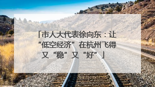 市人大代表徐向东：让“低空经济”在杭州飞得又“稳”又“好”