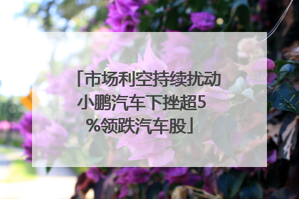 市场利空持续扰动 小鹏汽车下挫超5%领跌汽车股