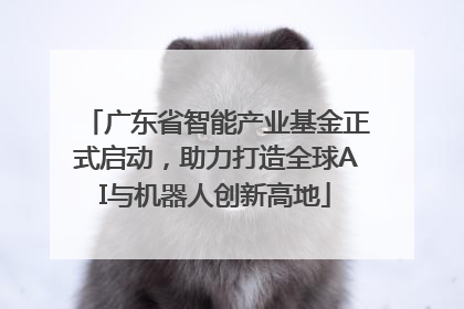 广东省智能产业基金正式启动，助力打造全球AI与机器人创新高地