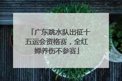 广东跳水队出征十五运会资格赛，全红婵养伤不参赛