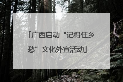 广西启动“记得住乡愁”文化外宣活动