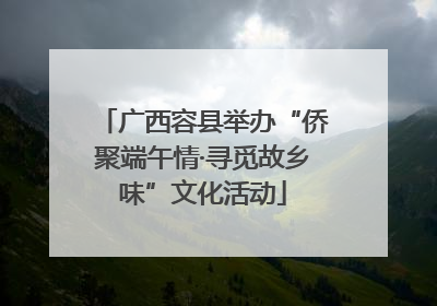 广西容县举办“侨聚端午情·寻觅故乡味”文化活动