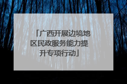 广西开展边境地区民政服务能力提升专项行动
