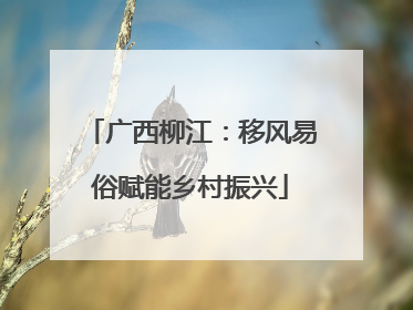 广西柳江：移风易俗赋能乡村振兴