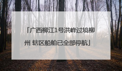 广西柳江1号洪峰过境柳州 辖区船舶已全部停航