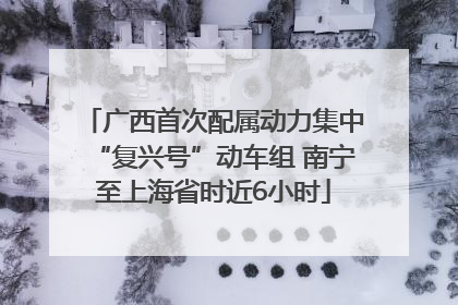 广西首次配属动力集中“复兴号”动车组 南宁至上海省时近6小时