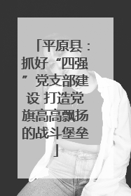 平原县：抓好“四强”党支部建设 打造党旗高高飘扬的战斗堡垒