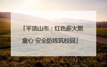 平顶山市：红色薪火燃童心 安全防线筑校园