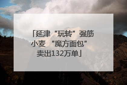 延津“玩转”强筋小麦 “魔方面包”卖出132万单