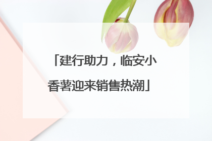 建行助力，临安小香薯迎来销售热潮