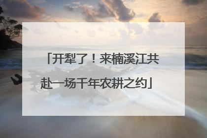 开犁了！来楠溪江共赴一场千年农耕之约