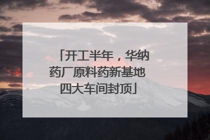 开工半年，华纳药厂原料药新基地四大车间封顶