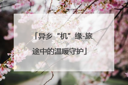 异乡“机”缘-旅途中的温暖守护