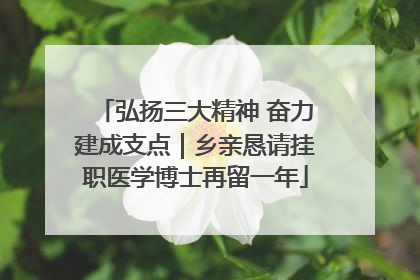 弘扬三大精神 奋力建成支点｜乡亲恳请挂职医学博士再留一年
