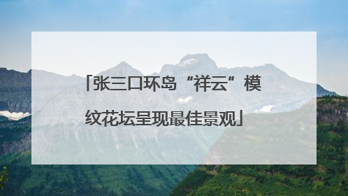 张三口环岛“祥云”模纹花坛呈现最佳景观