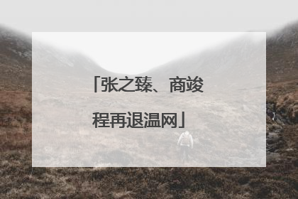 张之臻、商竣程再退温网