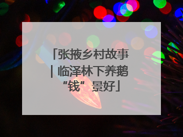 张掖乡村故事｜临泽林下养鹅“钱”景好