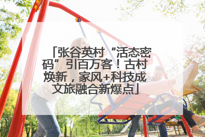 张谷英村“活态密码”引百万客！古村焕新，家风+科技成文旅融合新爆点