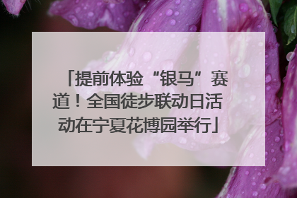 提前体验“银马”赛道！全国徒步联动日活动在宁夏花博园举行