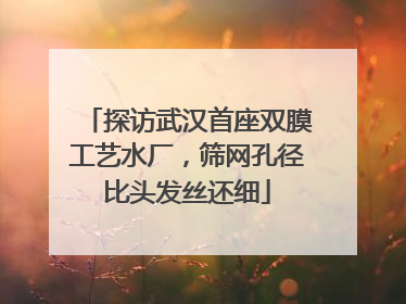 探访武汉首座双膜工艺水厂，筛网孔径比头发丝还细