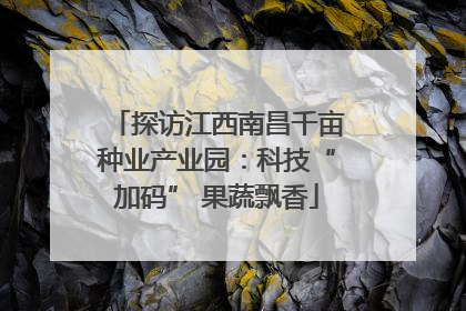 探访江西南昌千亩种业产业园：科技“加码” 果蔬飘香