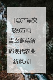 总产量突破9万吨 青岛蓝莓解码现代农业新范式