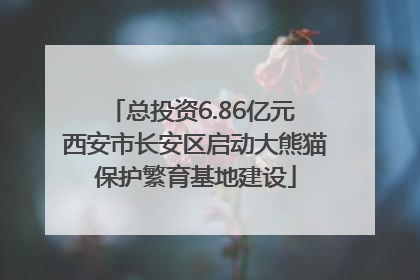 总投资6.86亿元 西安市长安区启动大熊猫保护繁育基地建设