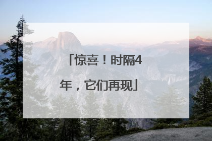 惊喜！时隔4年，它们再现