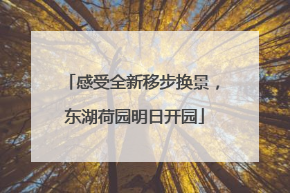 感受全新移步换景，东湖荷园明日开园