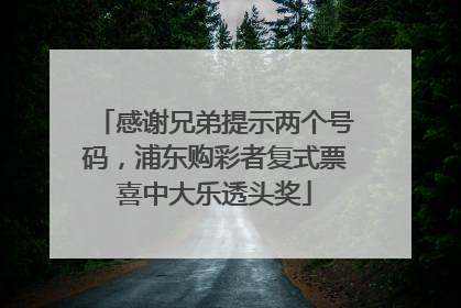感谢兄弟提示两个号码，浦东购彩者复式票喜中大乐透头奖