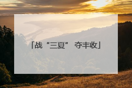 战“三夏” 夺丰收