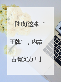 打好这张“王牌”，内蒙古有实力！